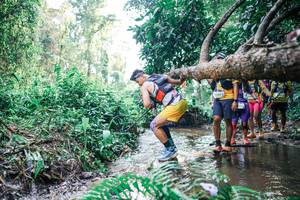 BIB: 
                            <button type="button" onclick="openModal(25456850)" class="btn btn-primary btn-sm float-right btn-popup" data-toggle="modal" data-target=".modal-high-quality">
                        <i class="fas fa-shopping-cart"></i> Add to Cart
                    </button>
                                            <button type="button" onclick="isThisMe(25456850, true)" class="btn btn-success btn-sm float-right btn-popup btn-isme hidden" data-toggle="tooltip" data-placement="bottom" title="นี่คือรูปของคุณใช่ไหม คลิกที่นี่เพื่อเอาเข้าอัลบั้ม">
                        <i class="fas fa-plus"></i> Add to album
                    </button>
                    <button type="button" onclick="isThisMe(25456850, false)" class="btn btn-warning btn-sm float-right btn-popup btn-isnotme hidden">
                        <i class="fas fa-ban"></i> Remove from album
                    </button>